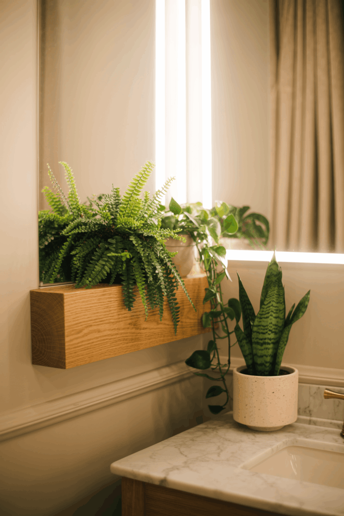 Bathroom Plants That Thrive in Humidity arranged on vanity and floating shelf in modern apartment