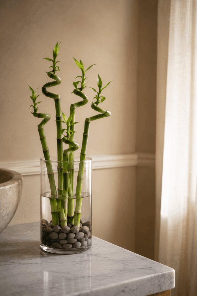 Lucky bamboo stalks in clear glass vase with smooth river pebbles on marble vanity